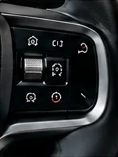 Steering wheel switch cluster